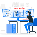 Data Analyst