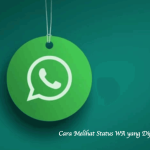 Cara Melihat Status WA yang Diprivasi