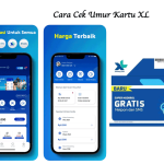 Cek Umur Kartu XL
