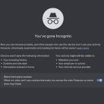 Incognito