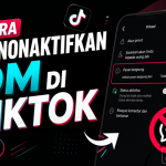 Cara Menonaktifkan DM di TikTok