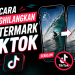 Cara Menghilangkan Watermark TikTok