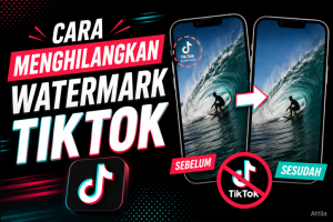 Cara Menghilangkan Watermark TikTok